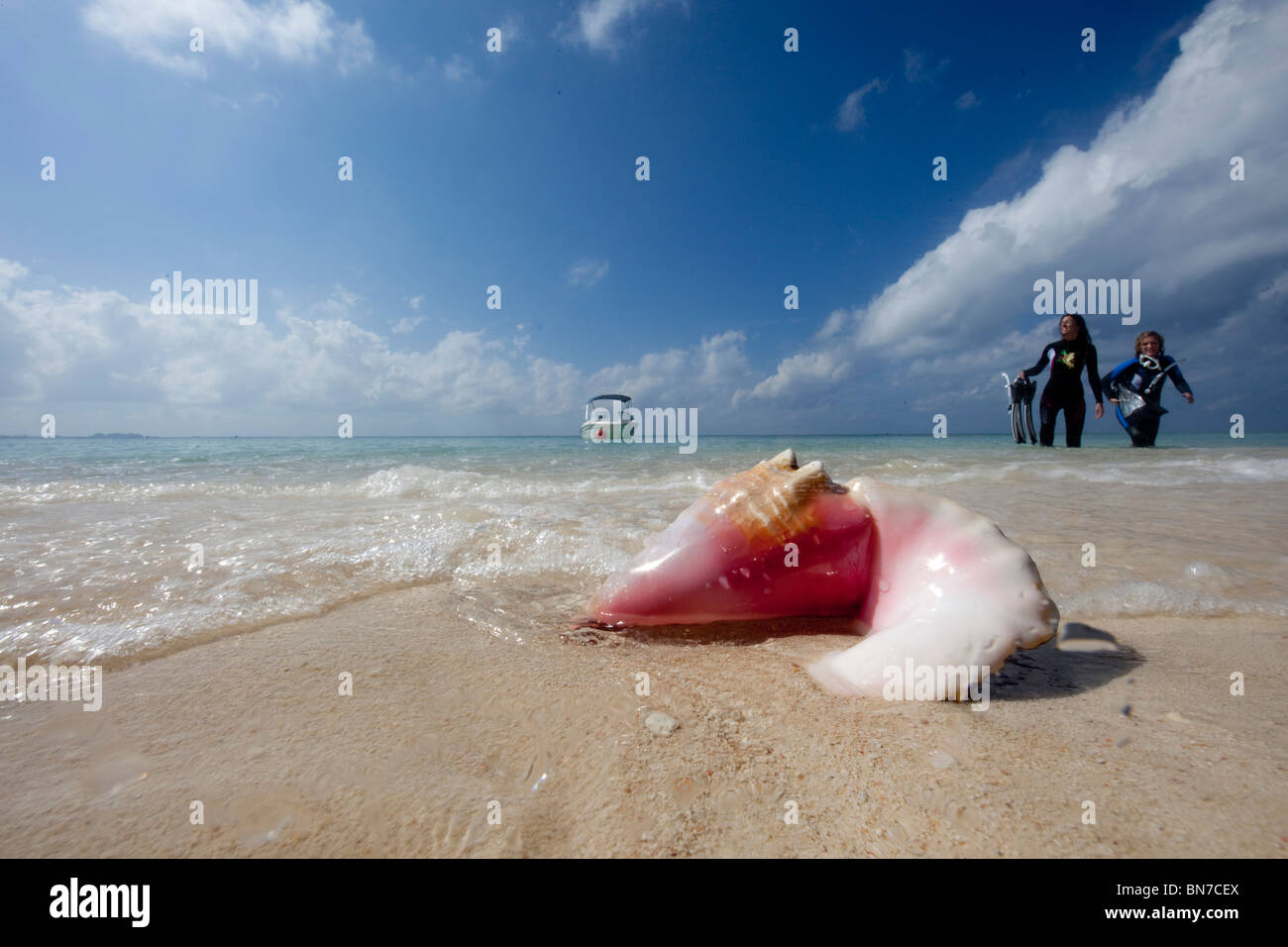 Deux femmes se promener dans le surf à Grand Cayman Banque D'Images