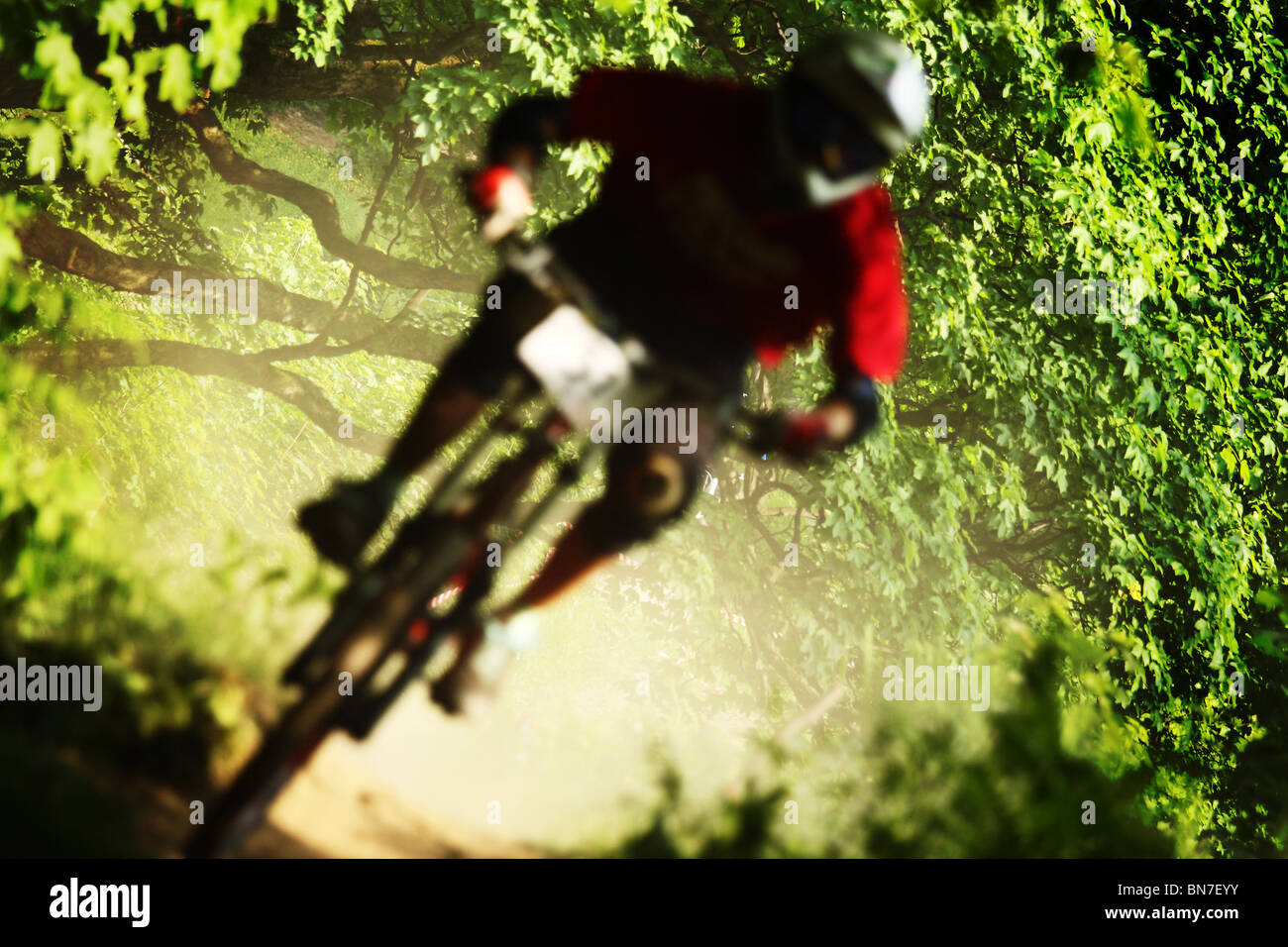 Vélo de montagne vtt de descente au cours de la race à Szczyrk, montagnes des Beskides, en Pologne. Banque D'Images
