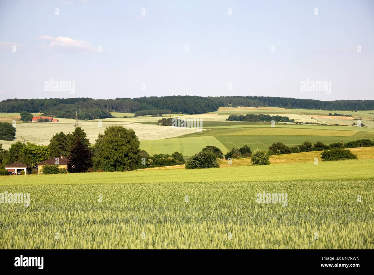 Sommer im Deister - Felder Été en Allemagne Banque D'Images