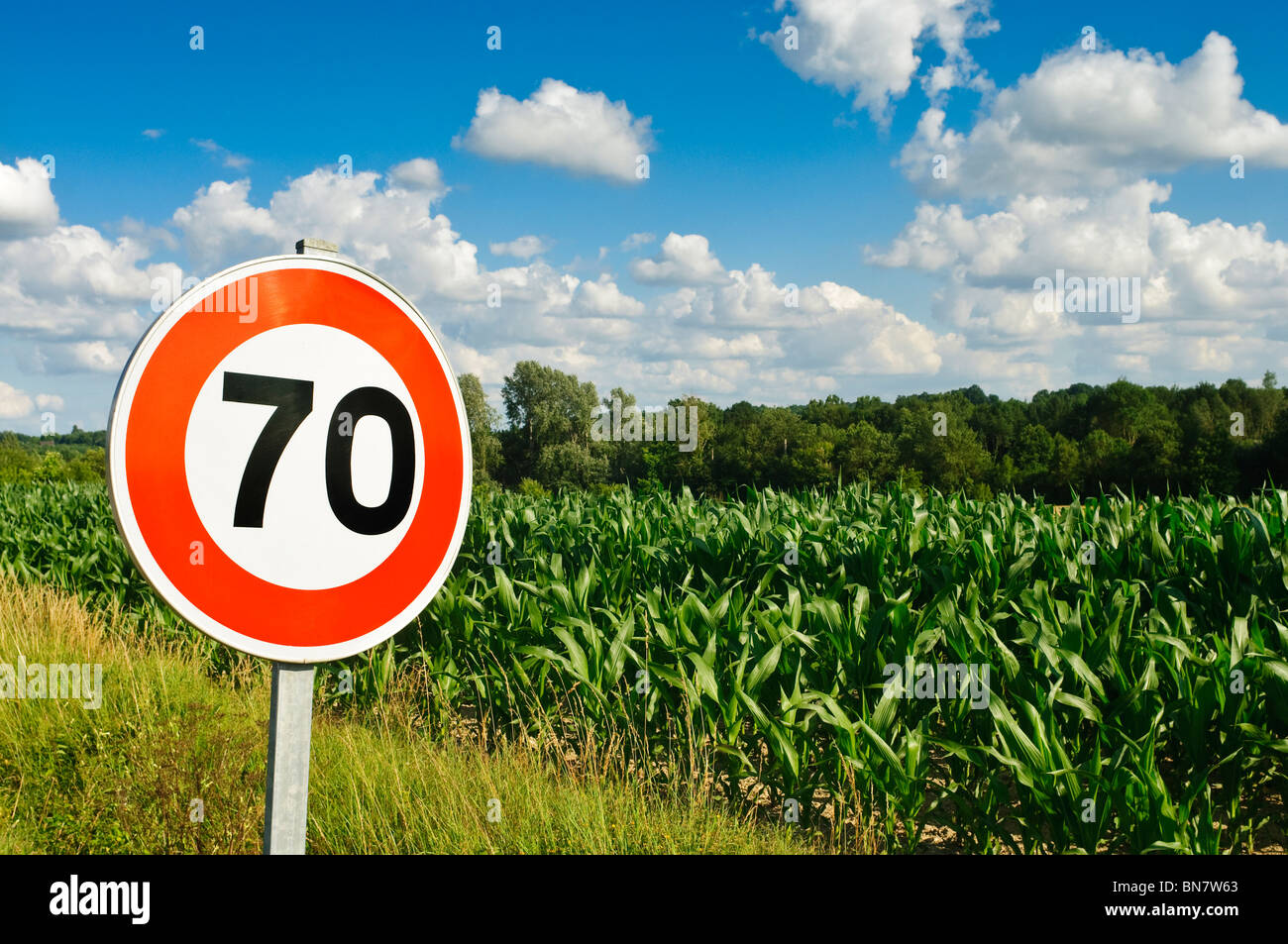 Limitation de vitesse 70 km/h signe / terre agricole avec de plus en plus de maïs - Maïs doux - Indre-et-Loire, France. Banque D'Images