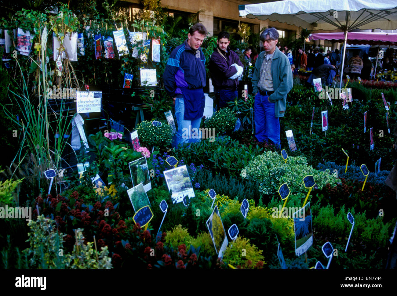 Peuple belge, femme adulte, vendeuse de fleurs, vente de fleurs, marché Midi, gare du Midi, ville de Bruxelles, Bruxelles, Bruxelles-Capitale, Belgique Banque D'Images