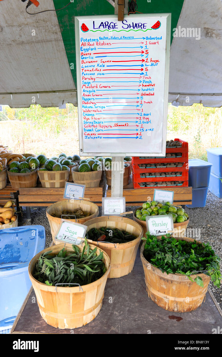 Grande Part des herbes et des légumes biologiques à l'agriculture familiale Banque D'Images