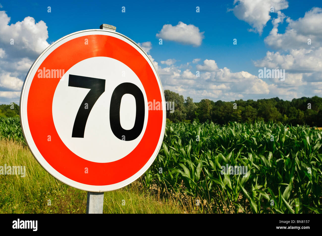 Limitation de vitesse 70 km/h signe / terre agricole avec de plus en plus de maïs - Maïs doux - Indre-et-Loire, France. Banque D'Images