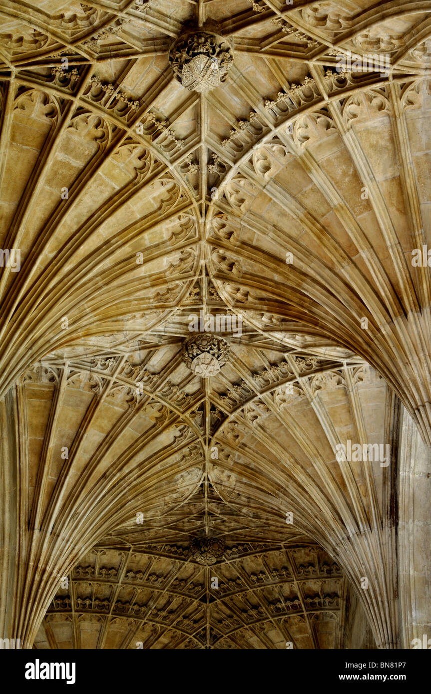 Ecole du ventilateur dans l'Est de l'édification de la cathédrale de Peterborough, Cambridgeshire, Angleterre, RU Banque D'Images
