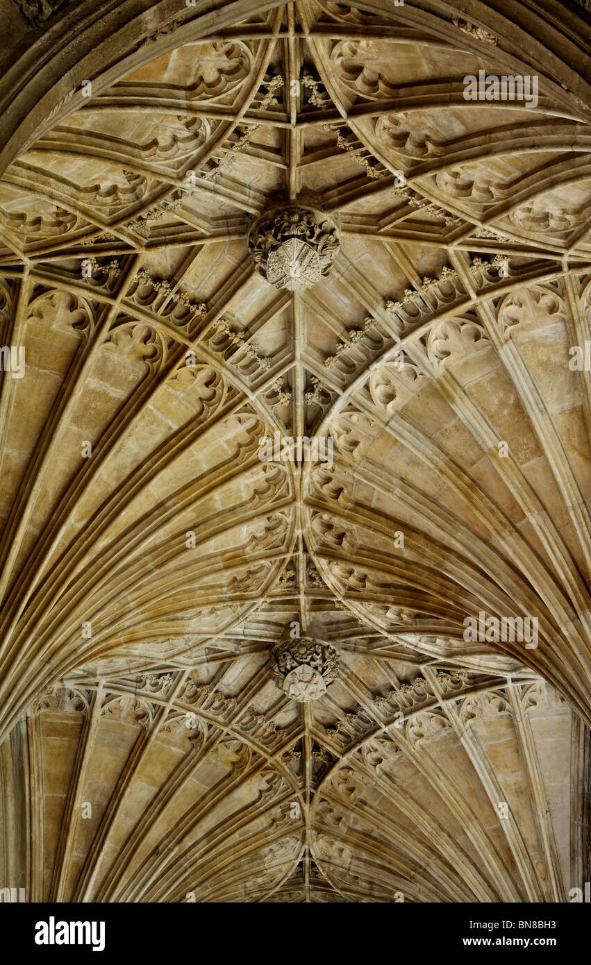 Ecole du ventilateur dans l'Est de l'édification de la cathédrale de Peterborough, Cambridgeshire, Angleterre, RU Banque D'Images