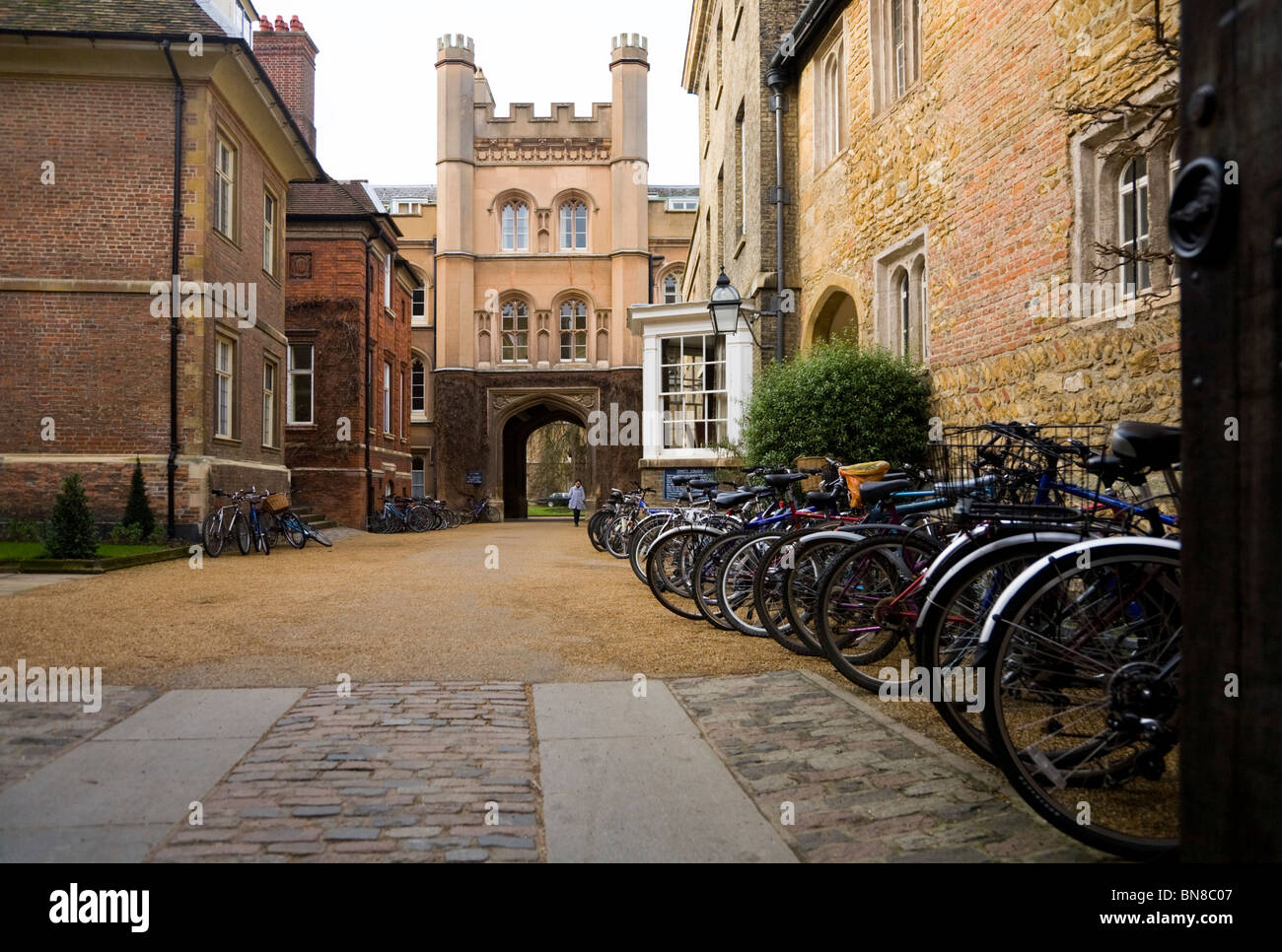 Des étudiants / étudiantes des vélos à l'Université de Cambridge, enfermés à l'extérieur de Trinity College. Trinity Lane, Cambridge. Cambridgeshire Banque D'Images