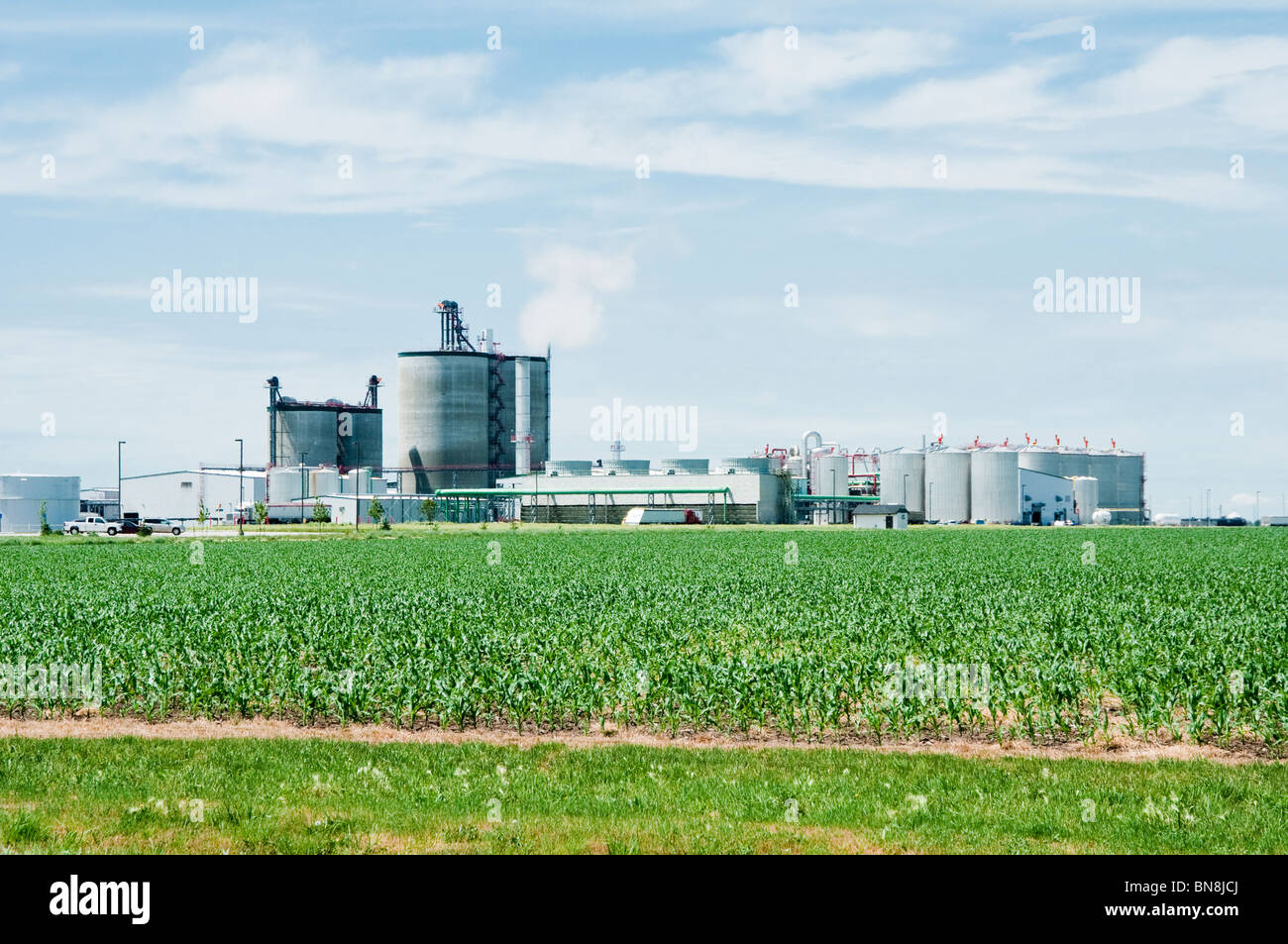 Une usine de transformation de l'éthanol dans la région de Nebraska avec un champ de maïs dans l'avant-plan. Banque D'Images