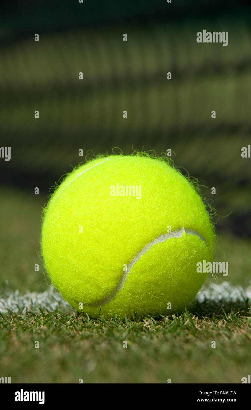 Une balle de tennis est situé sur une cour d'herbe Banque D'Images