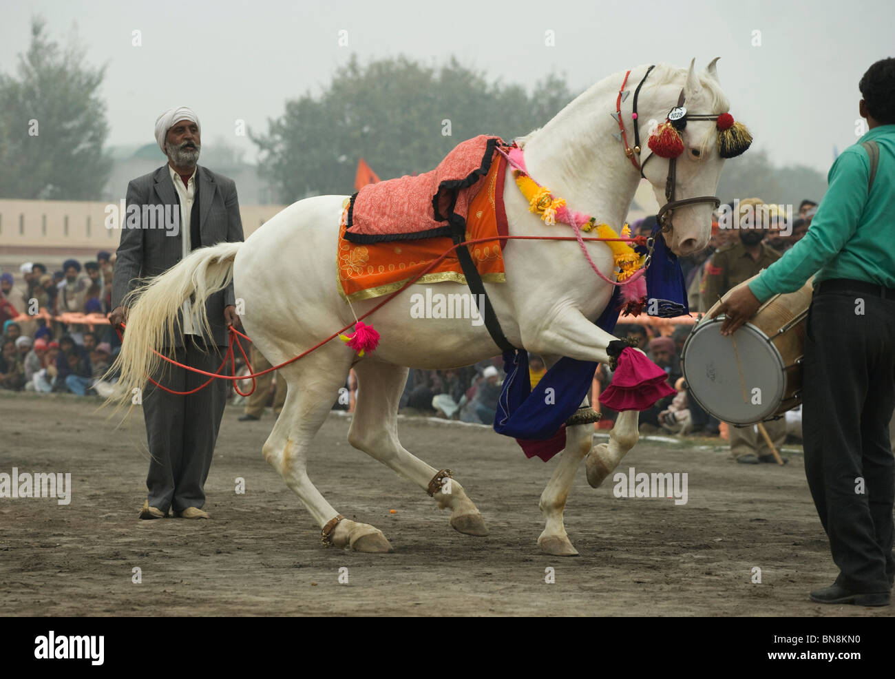 L'Inde Muktsar Punjab Mela de Maghi danse du Cheval juste Banque D'Images