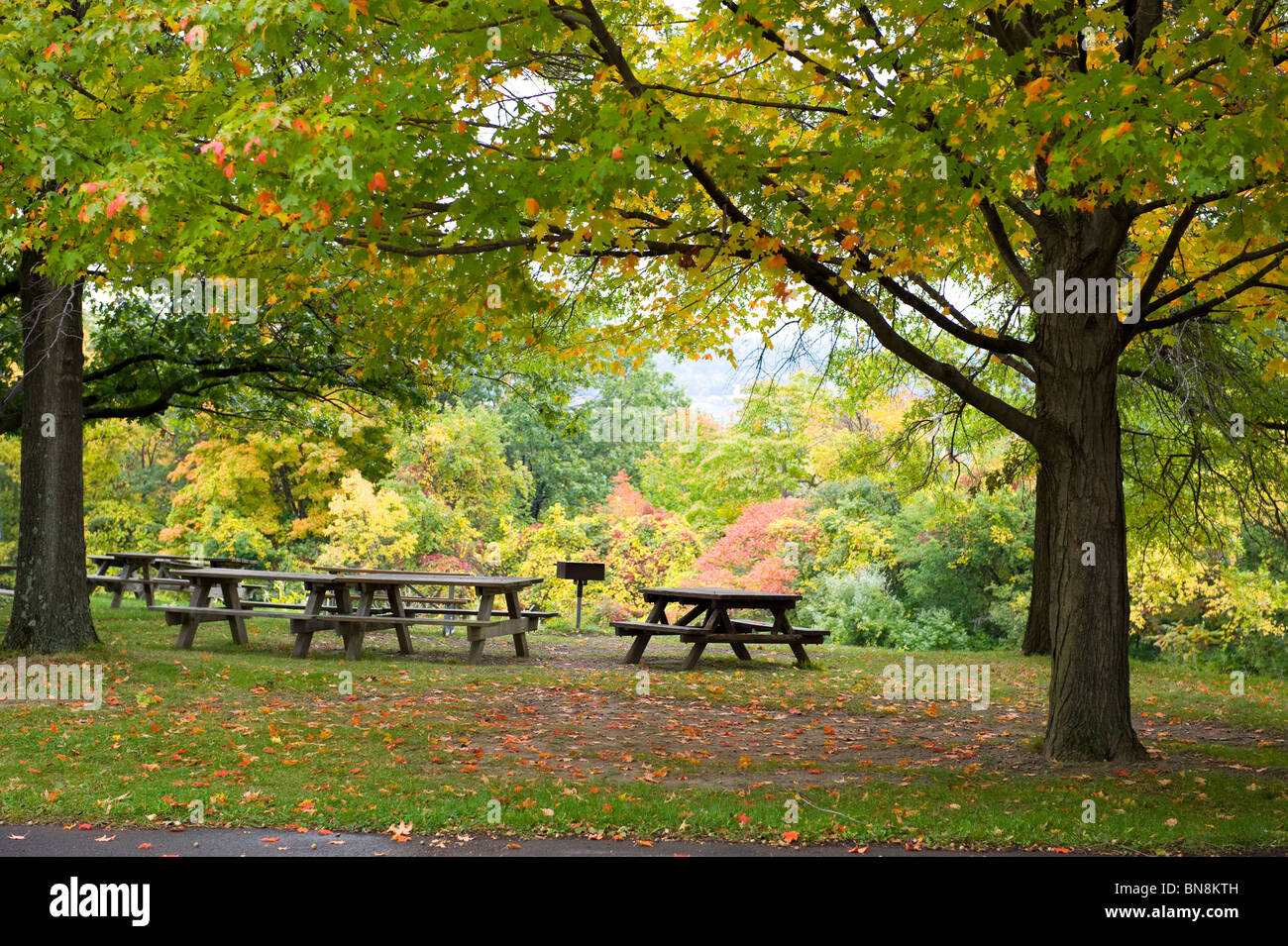 Table de pique-nique Salon Watkins Glen State Park Finger Lakes Region New York Seneca Lake Banque D'Images