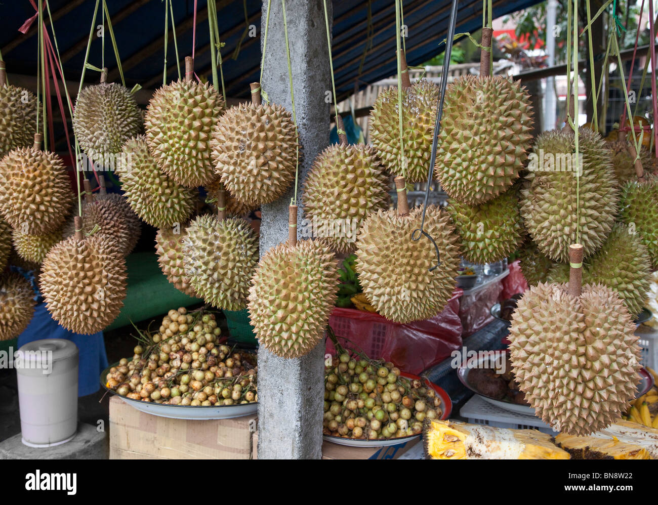 Fruits durian en vente sur l'étal de fruits du marché, Bali, Indonésie, Durio sp. Banque D'Images