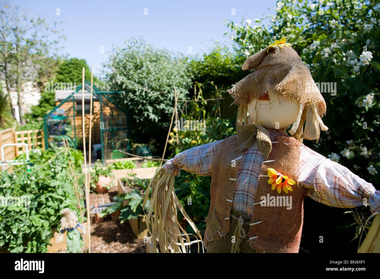 Épouvantail épouvantail dans un jardin potager Portesham, Dorset, UK Banque D'Images