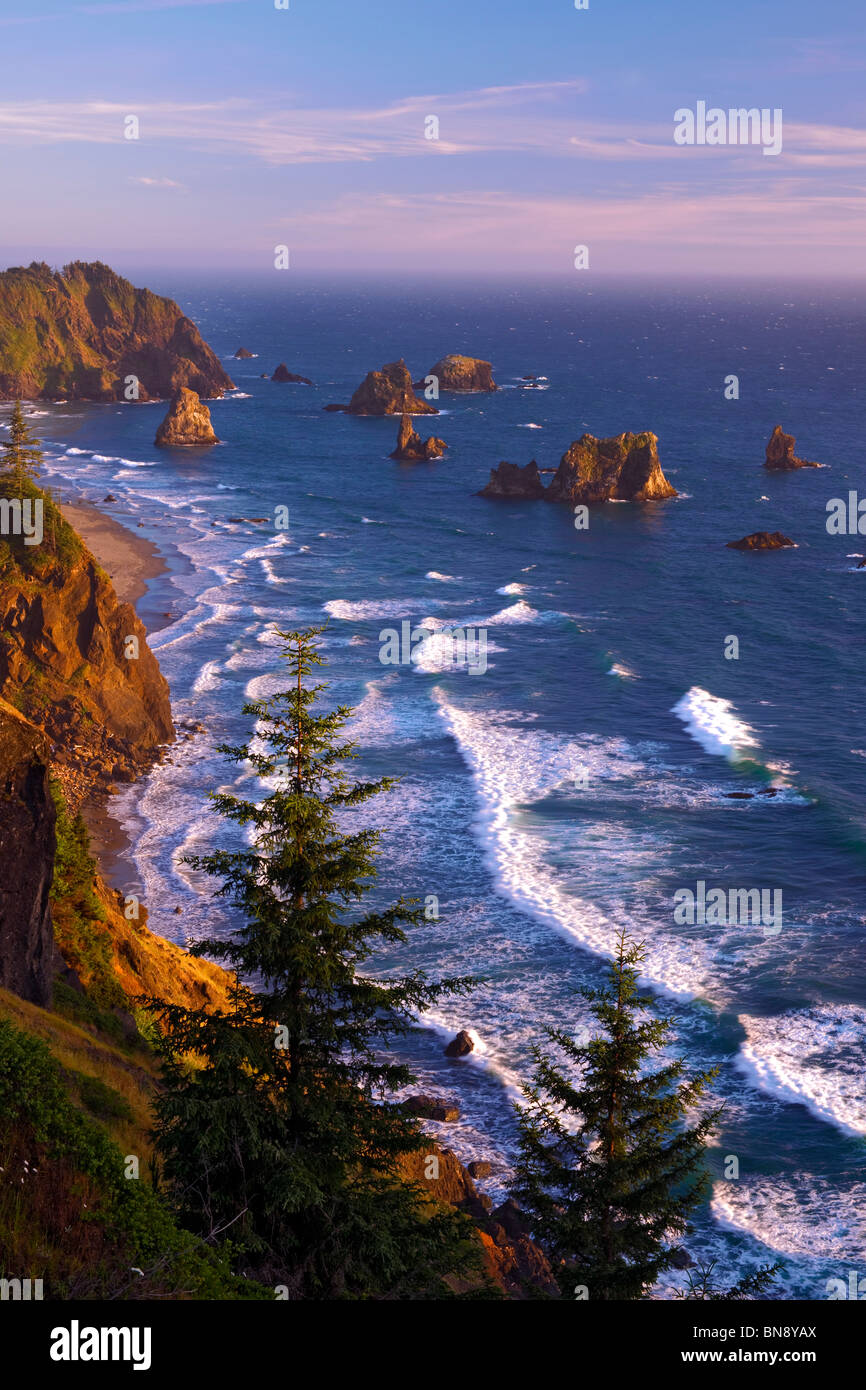 Les tournières robuste et de nombreuses formations rocheuses au large de la côte sud de l'Oregon définir de comté de Curry et Boardman State Park. Banque D'Images