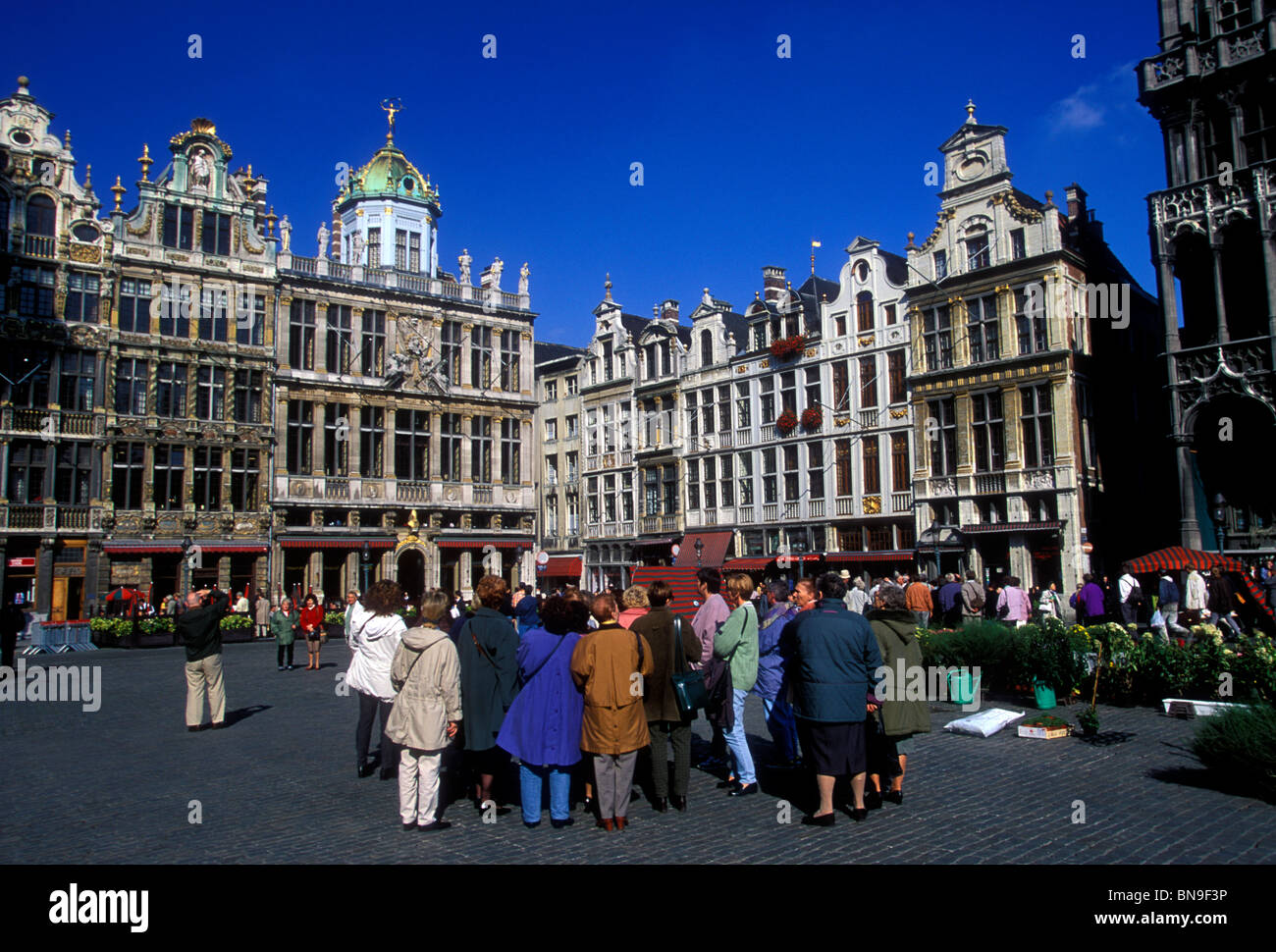 Les gens, les touristes, visite guidée, visite à pied, guide, grandplace, grand place, ville de Bruxelles, Bruxelles, Bruxelles-Capitale, Belgique, Europe Banque D'Images