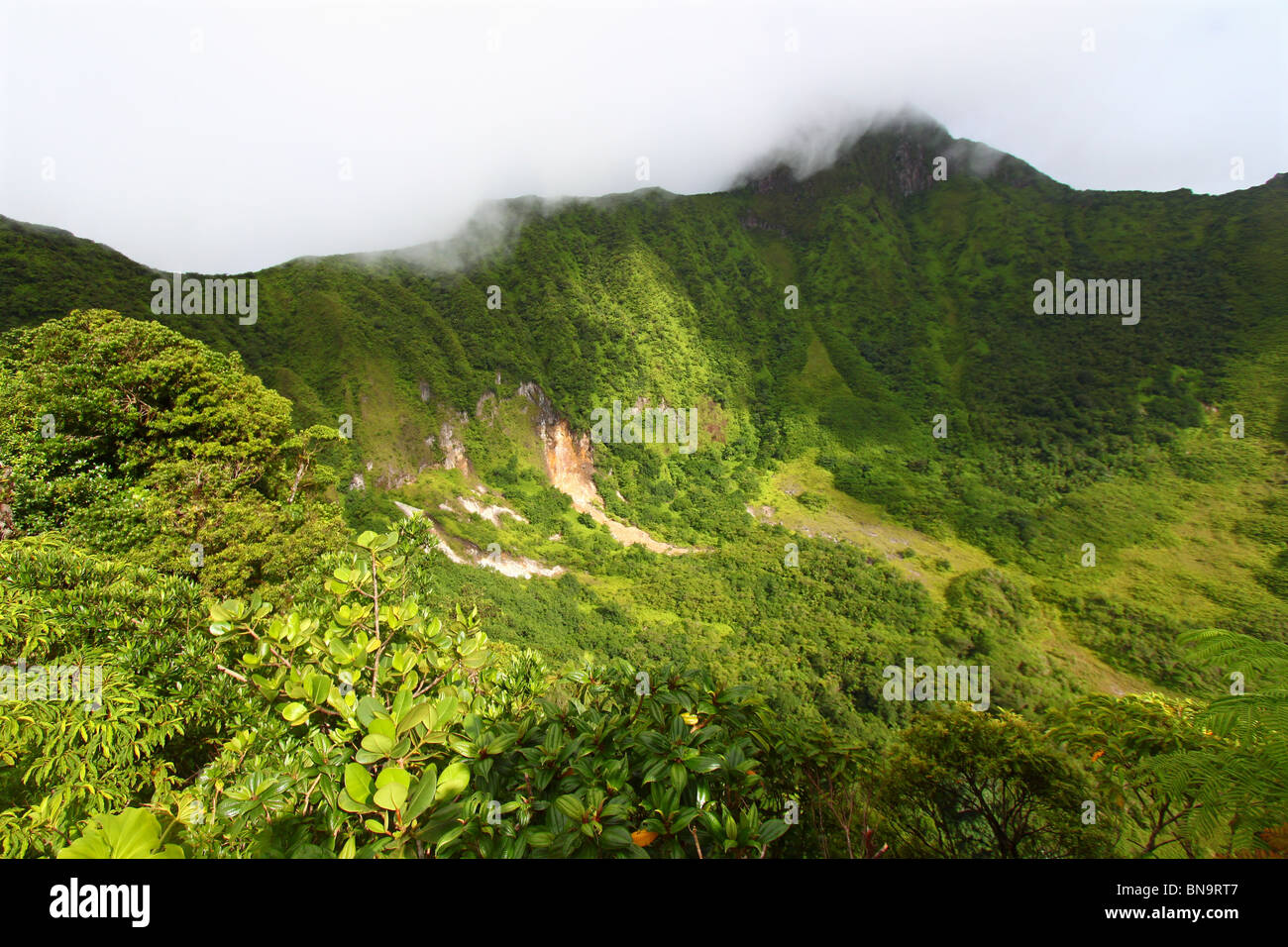 'Le cratère du Mont Liamuiga" ci-dessous- St Kitts Banque D'Images