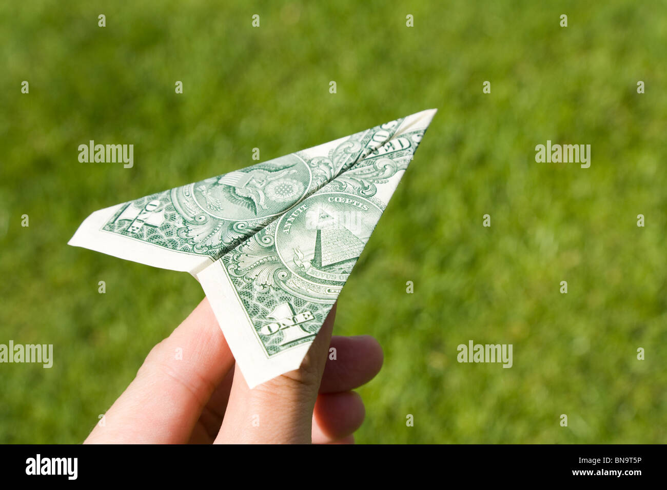 US Dollar Avion et herbe verte, concept de conservation de l'environnement Banque D'Images