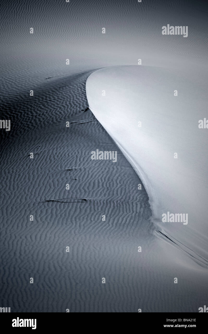 Télévision Mesquite Sand Dunes détail en noir et blanc,Death Valley National Park Banque D'Images