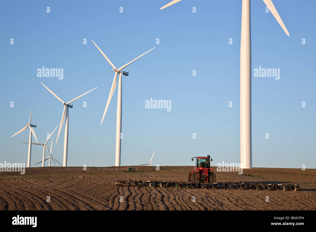 Le tracteur tirant harrow, champ de blé, wind farm Banque D'Images