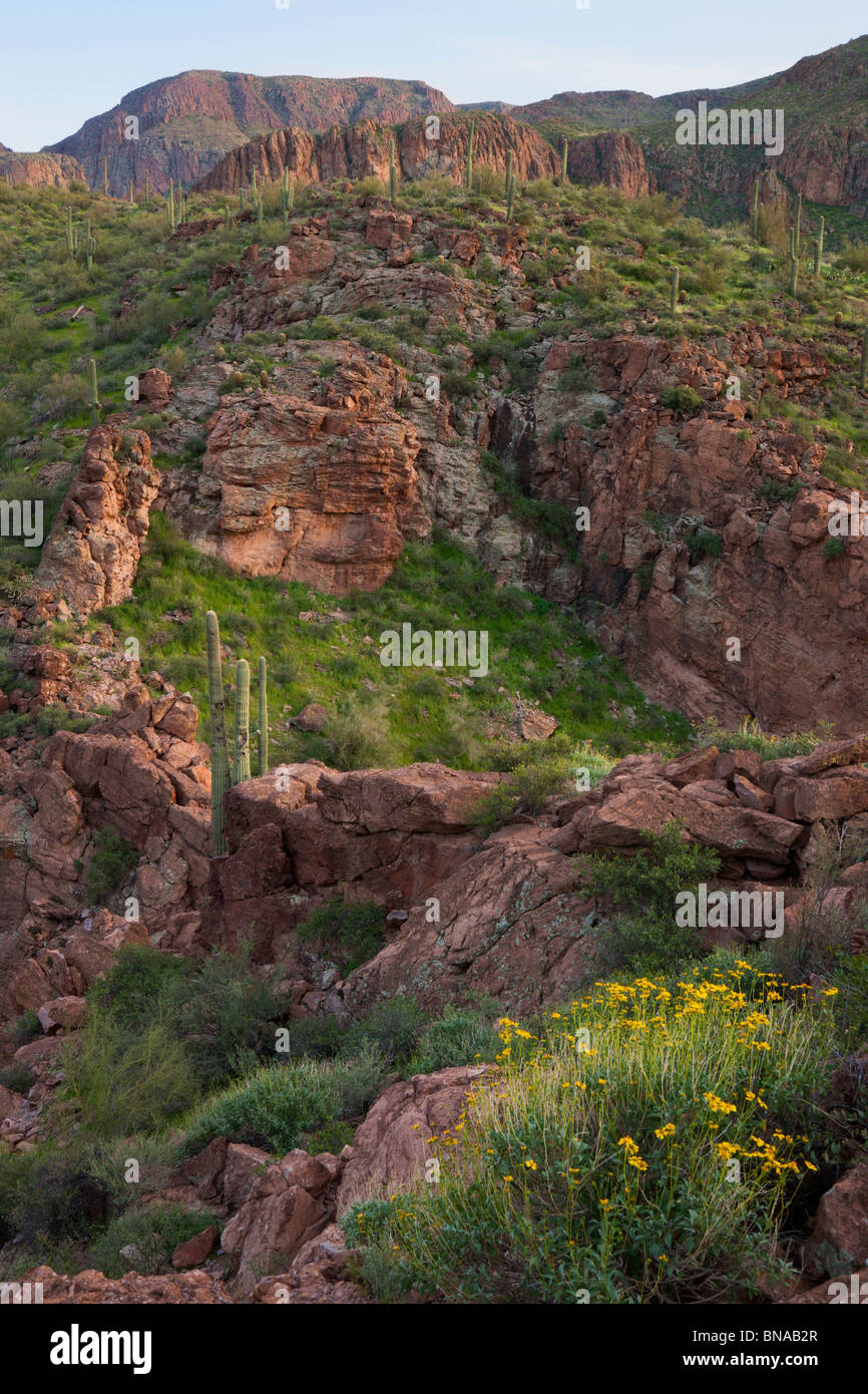 La superstition des montagnes le long de l'Apache Trail, Tonto National Forest, à l'Est de Phoenix, Arizona. Banque D'Images