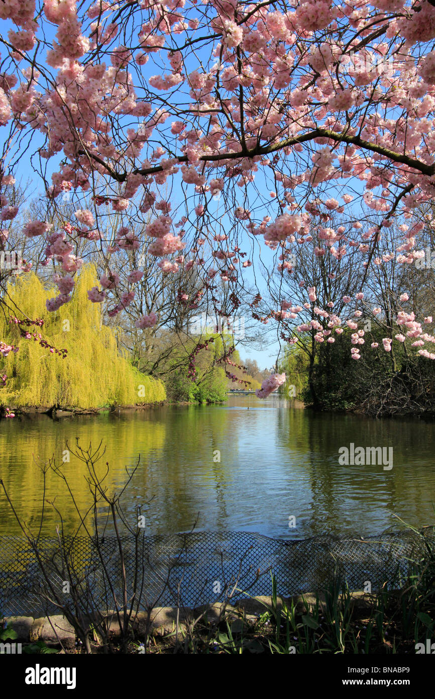 St James Park spring lake London England Banque D'Images