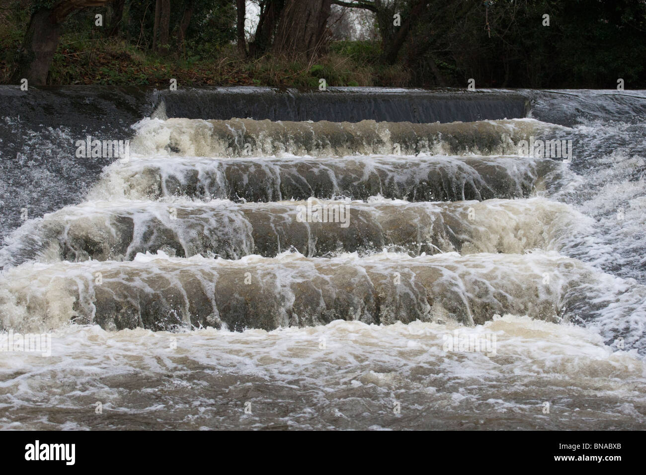 Échelle de poissons sur la rivière Alyn au Rossett Weir Banque D'Images