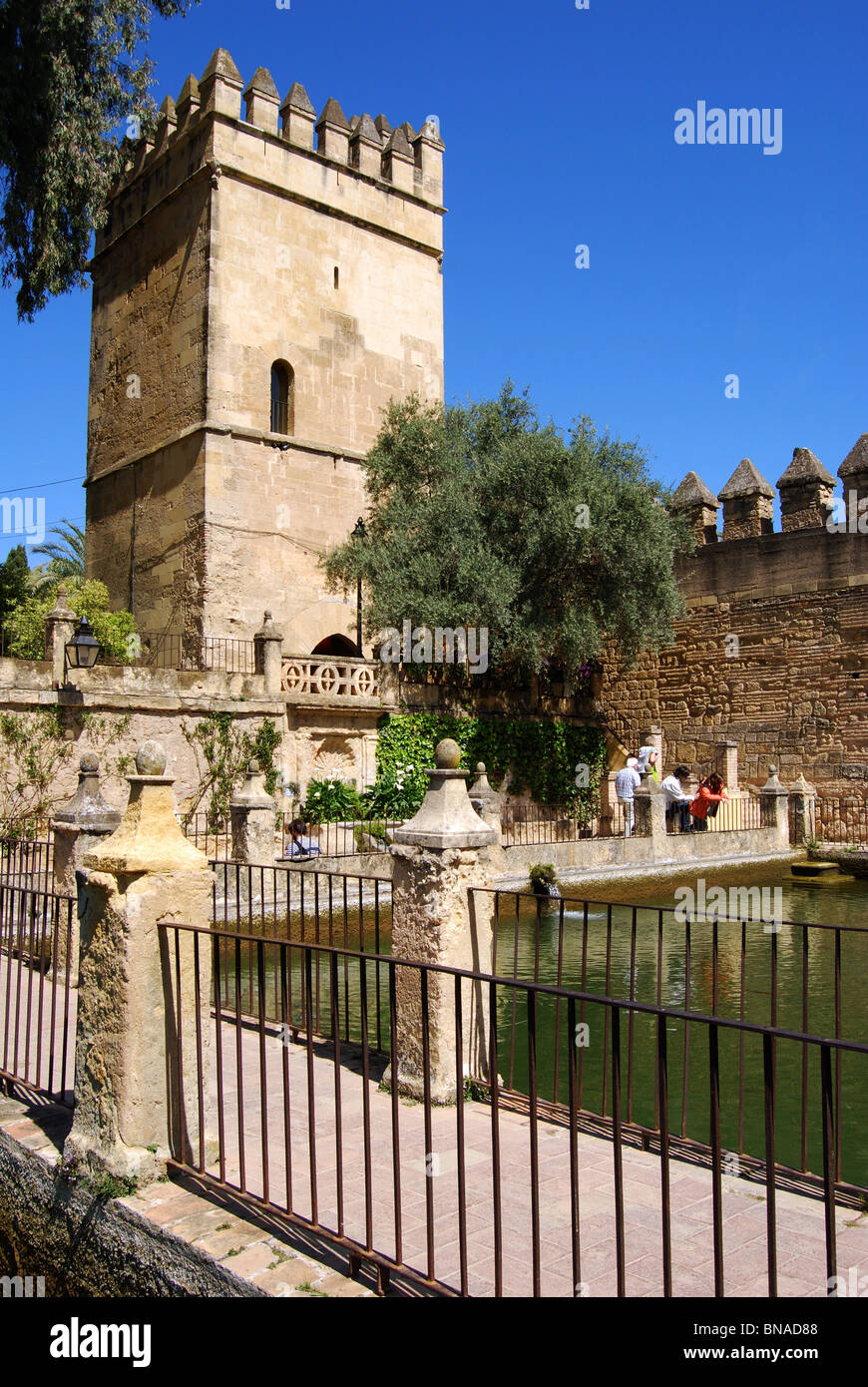 Palace Forteresse des Rois Chrétiens - tour du château avec piscine à l'avant-plan, Córdoba, Cordoue, Andalousie, province de l'Espagne. Banque D'Images