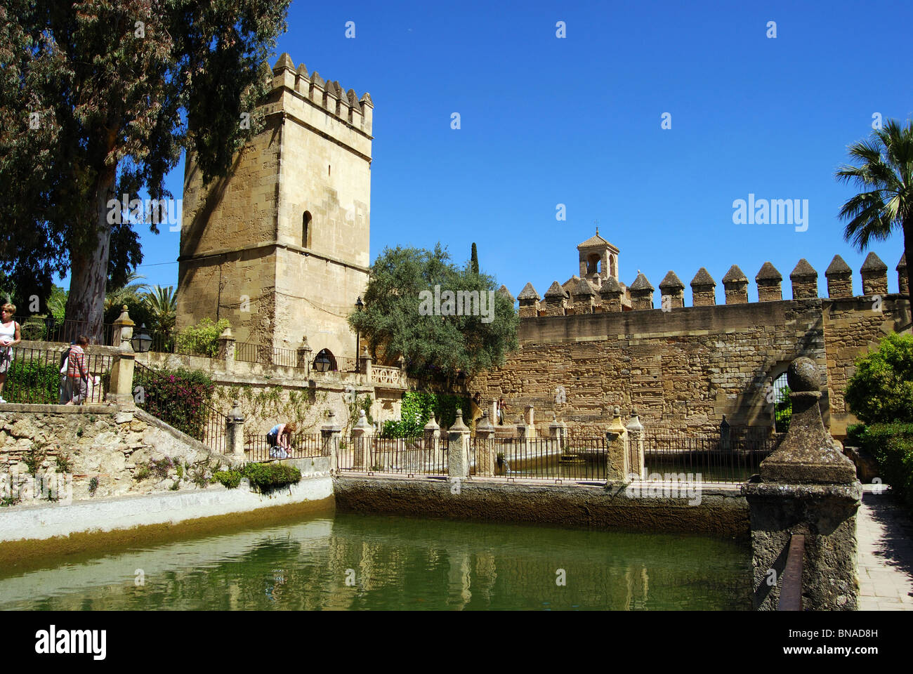 Palace Forteresse des Rois Chrétiens - tour du château avec piscine à l'avant-plan, Córdoba, Cordoue, Andalousie, province de l'Espagne. Banque D'Images