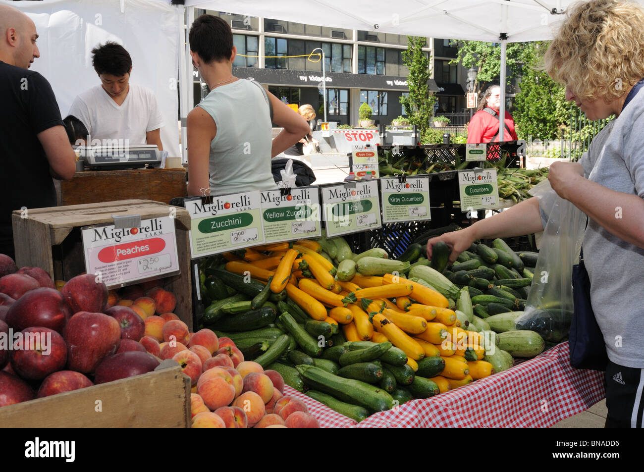 Un marché de producteurs dans la région de Battery Park City, un quartier de Manhattan. Banque D'Images