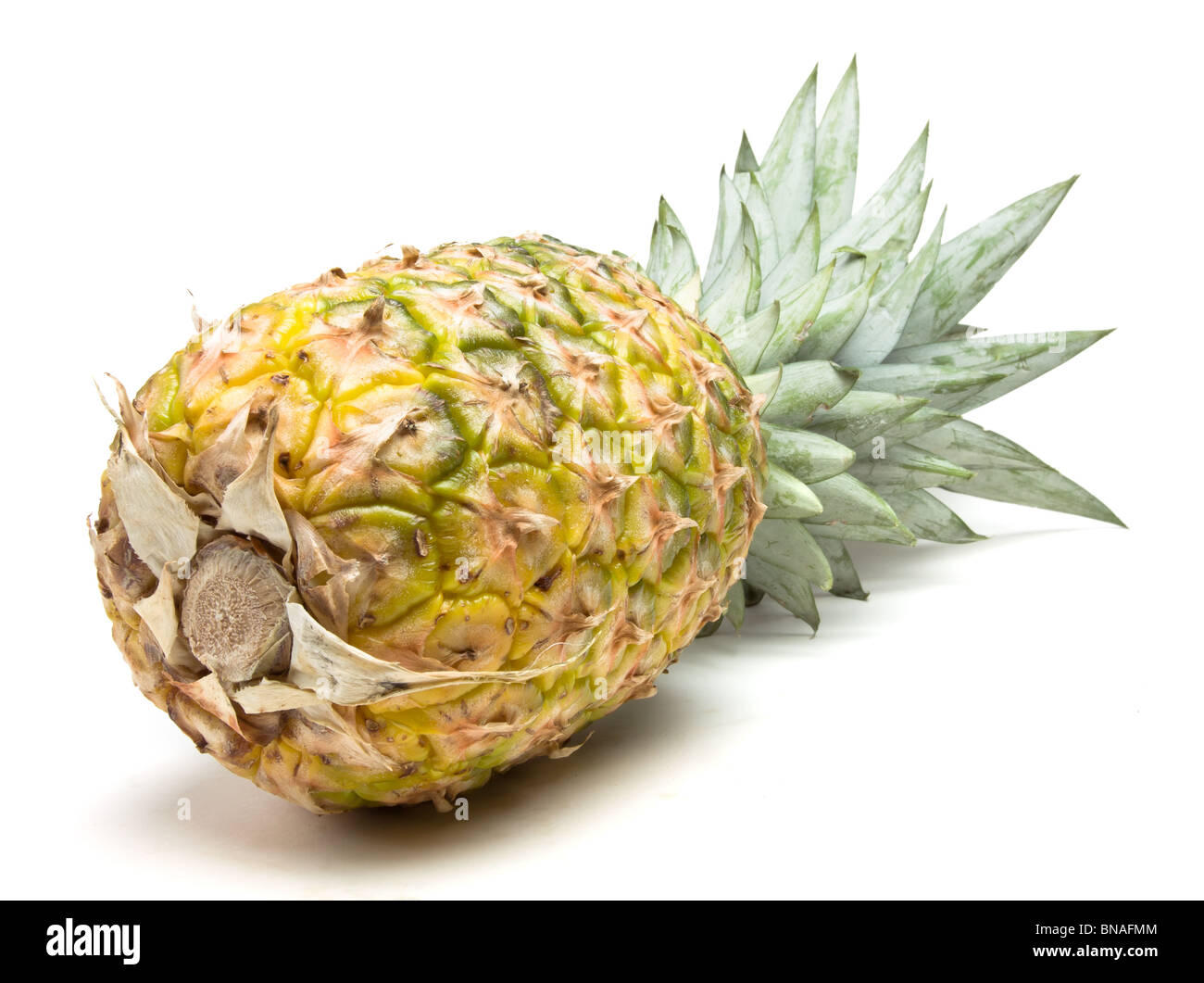 Extrait de l'ananas frais mûrs perspective basse isolés contre fond blanc. Banque D'Images