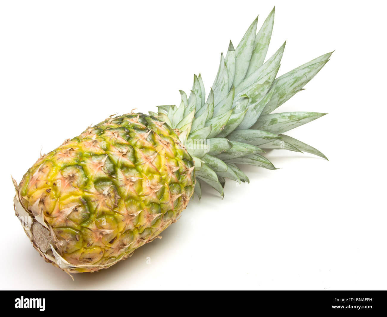 Extrait de l'ananas frais mûrs perspective basse isolés contre fond blanc. Banque D'Images