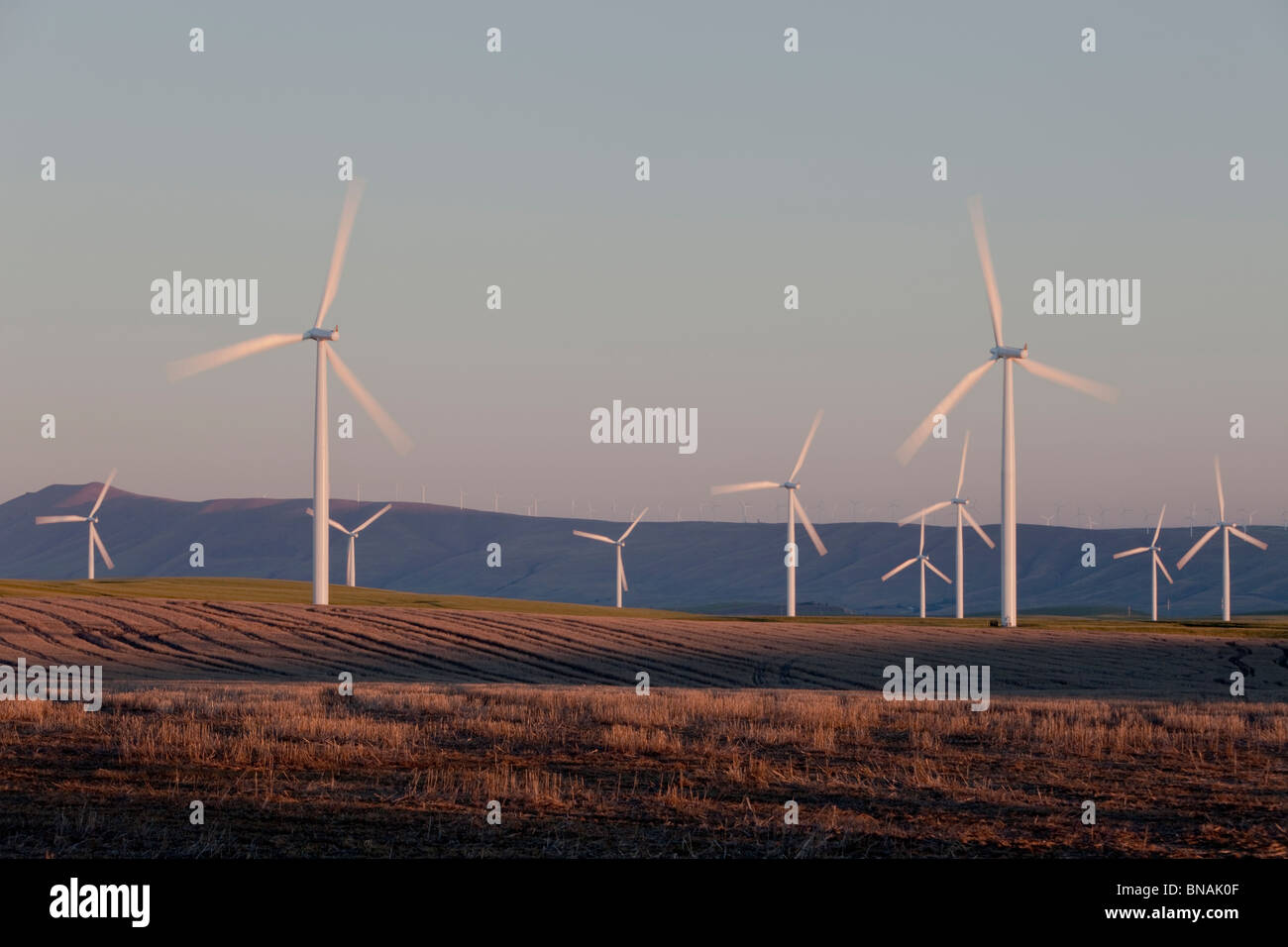 Wind farm, champ en jachère. Banque D'Images