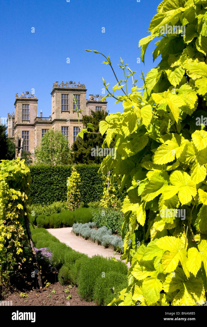 Hardwick Hall de l'herbe jardin au printemps Banque D'Images