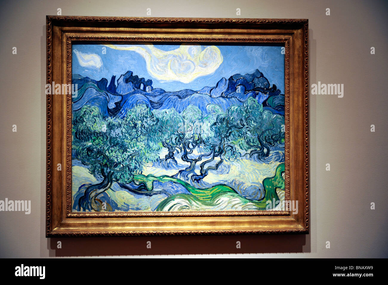 Tableau Toile Vincent Van Gogh – Les Oliviers – Impression Sur Cadre – Prêt à Accrocher