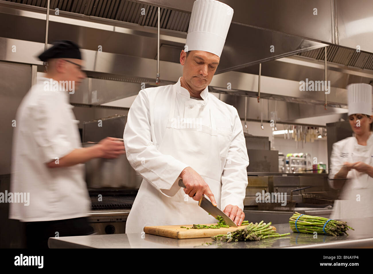 Chefs preparing food in commercial Kitchen Banque D'Images