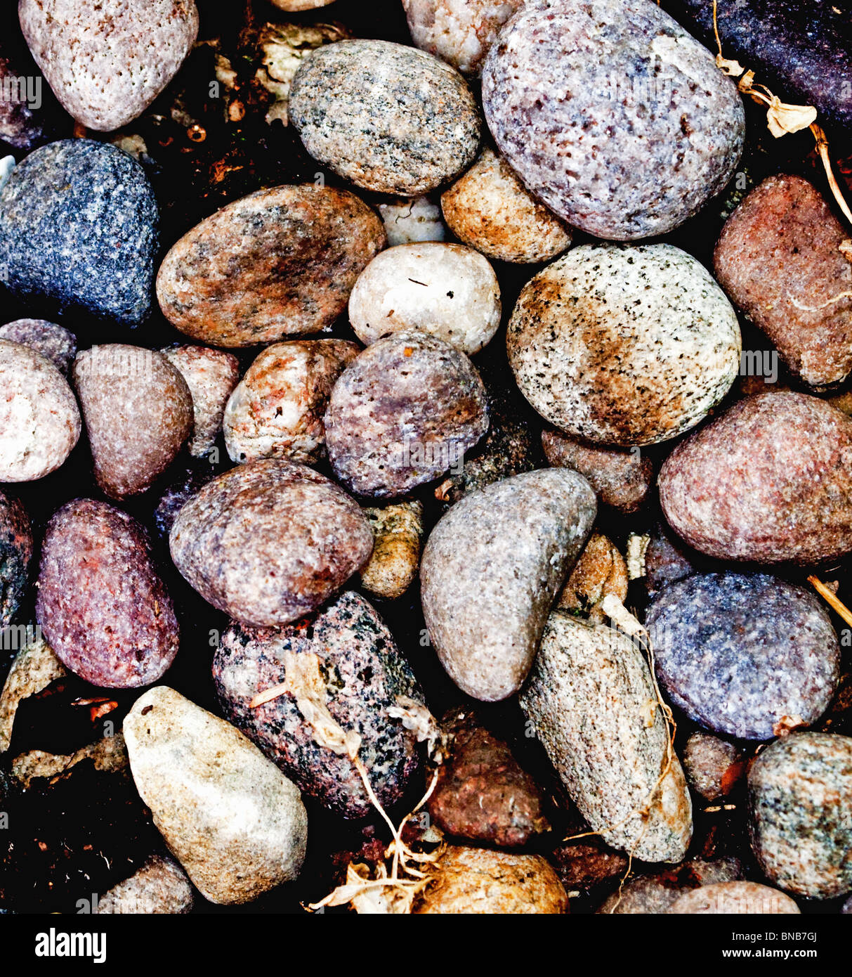 Arrière-plan de pierres de couleur Banque D'Images