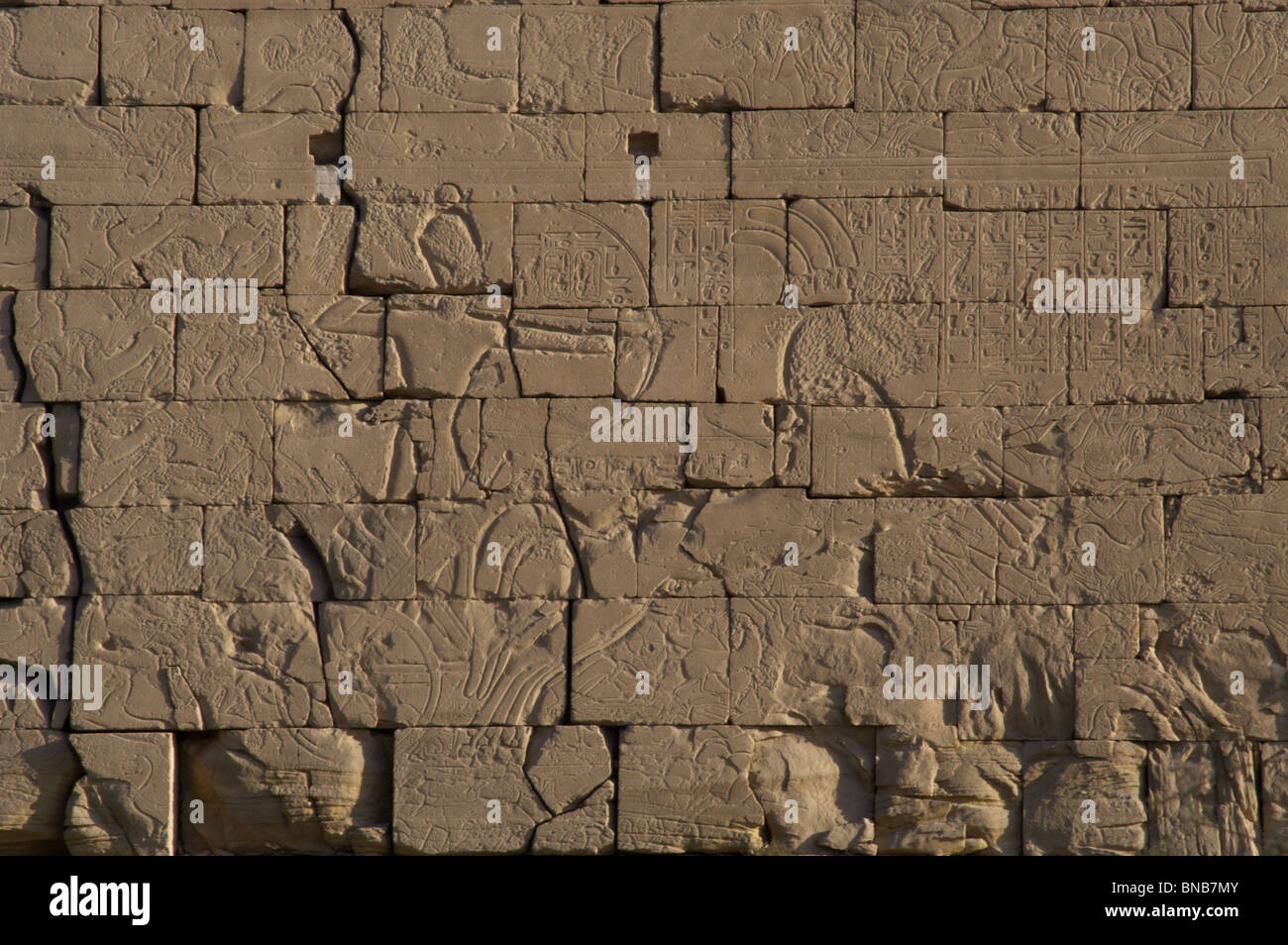 Ramesseum. Relief représentant le pharaon sur son char lors d'une bataille. L'Égypte. Banque D'Images