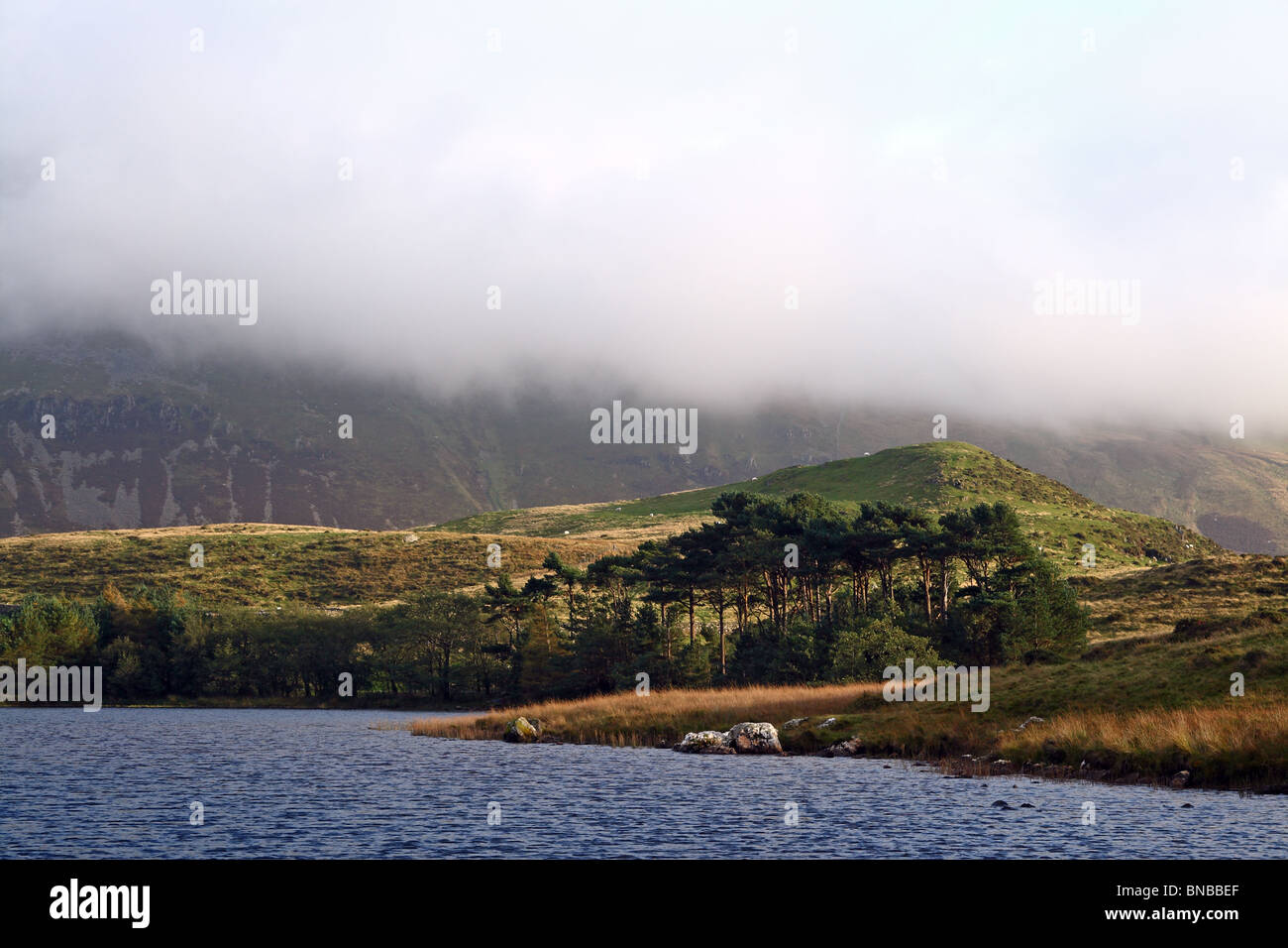 Cregennan LLynnau, Gwynedd, Pays de Galles, Royaume-Uni Banque D'Images