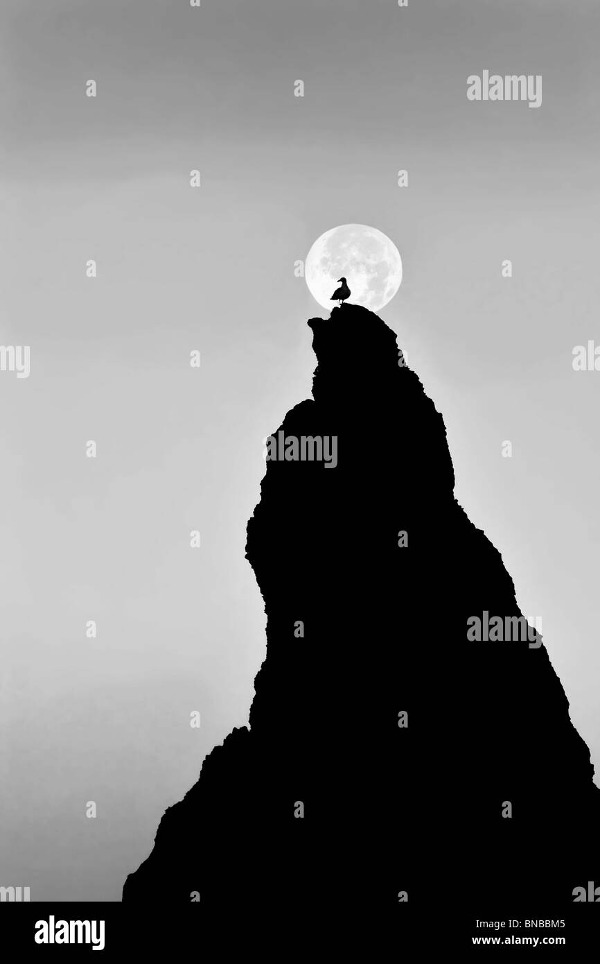 Pleine lune se couche sur rock à Bandon Beach avec mouette. Bandon, Oregon Banque D'Images