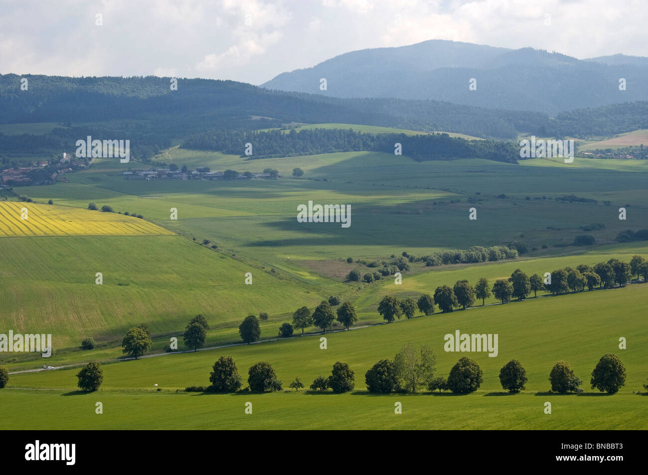 La Slovaquie, Elk189-2501 Spisska Kapitula, paysage ci-dessous château de Spis Banque D'Images