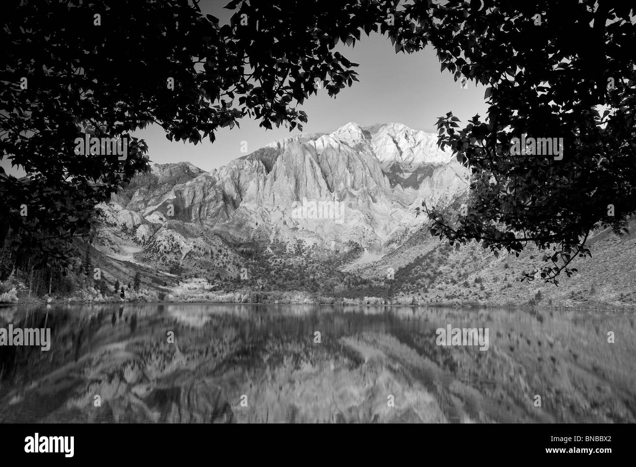 Lever du soleil de condamner avec le lac de couleur automne trembles. Californie Banque D'Images Lever du soleil de condamner avec le lac de couleur automne trembles. Californie Banque D'Images