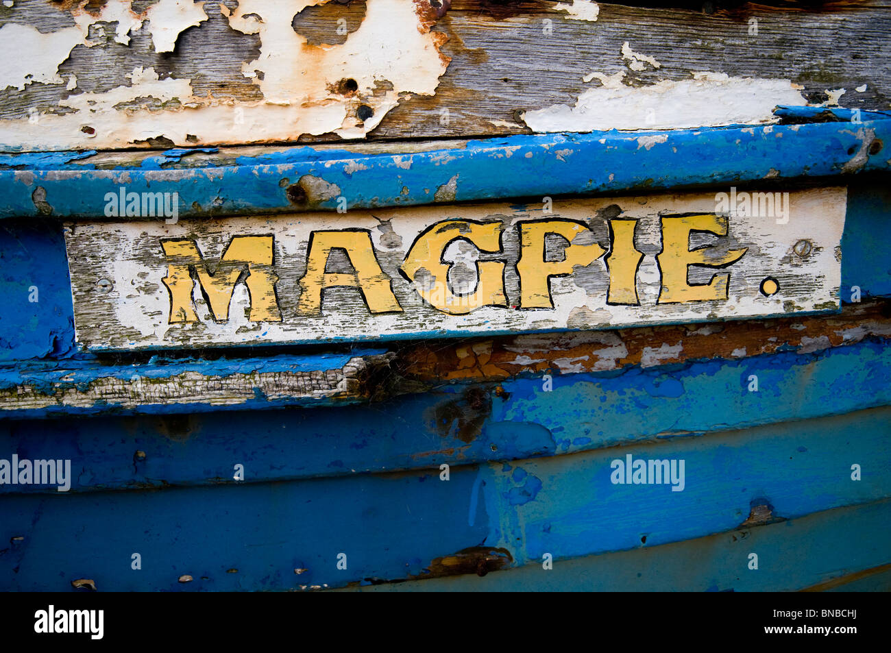 Magpie Banque D'Images