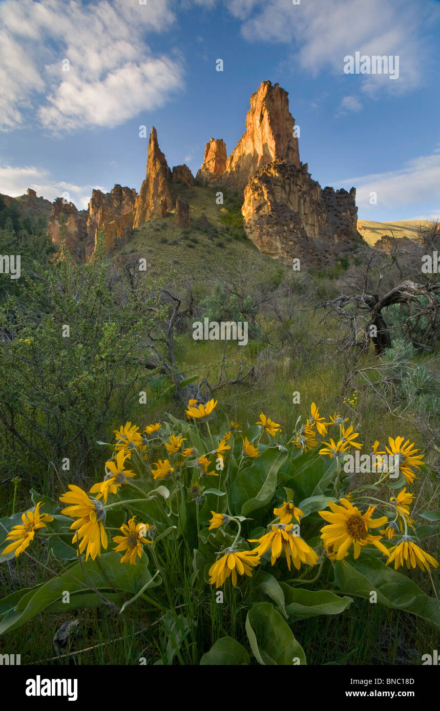 Leslie Gulch tufs, Oregon Banque D'Images