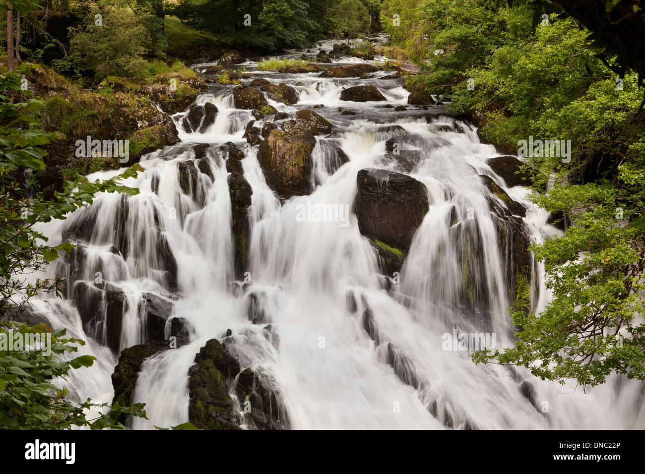 Royaume-uni, Pays de Galles, Conway, Betws-Y-coed, Swallow Falls sur Afon Llygwy Banque D'Images