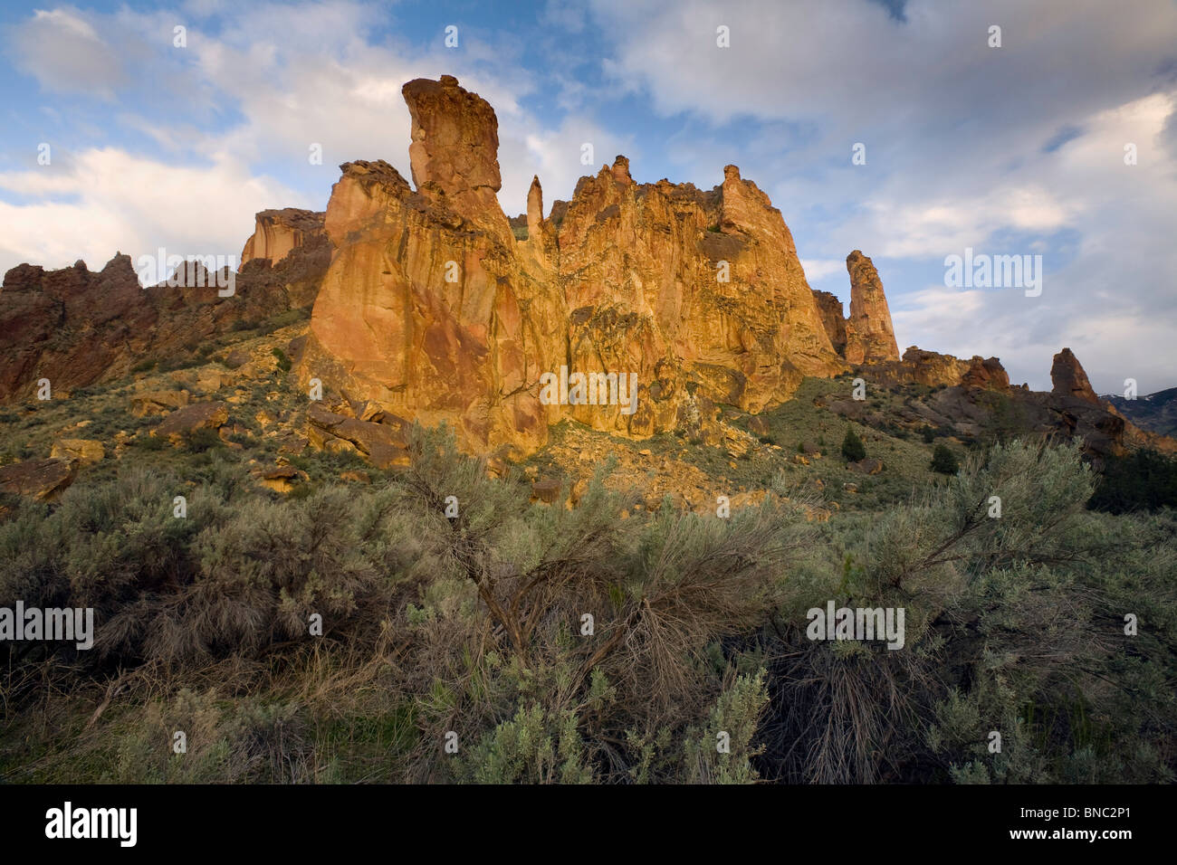 Leslie Gulch tufs, Oregon Banque D'Images