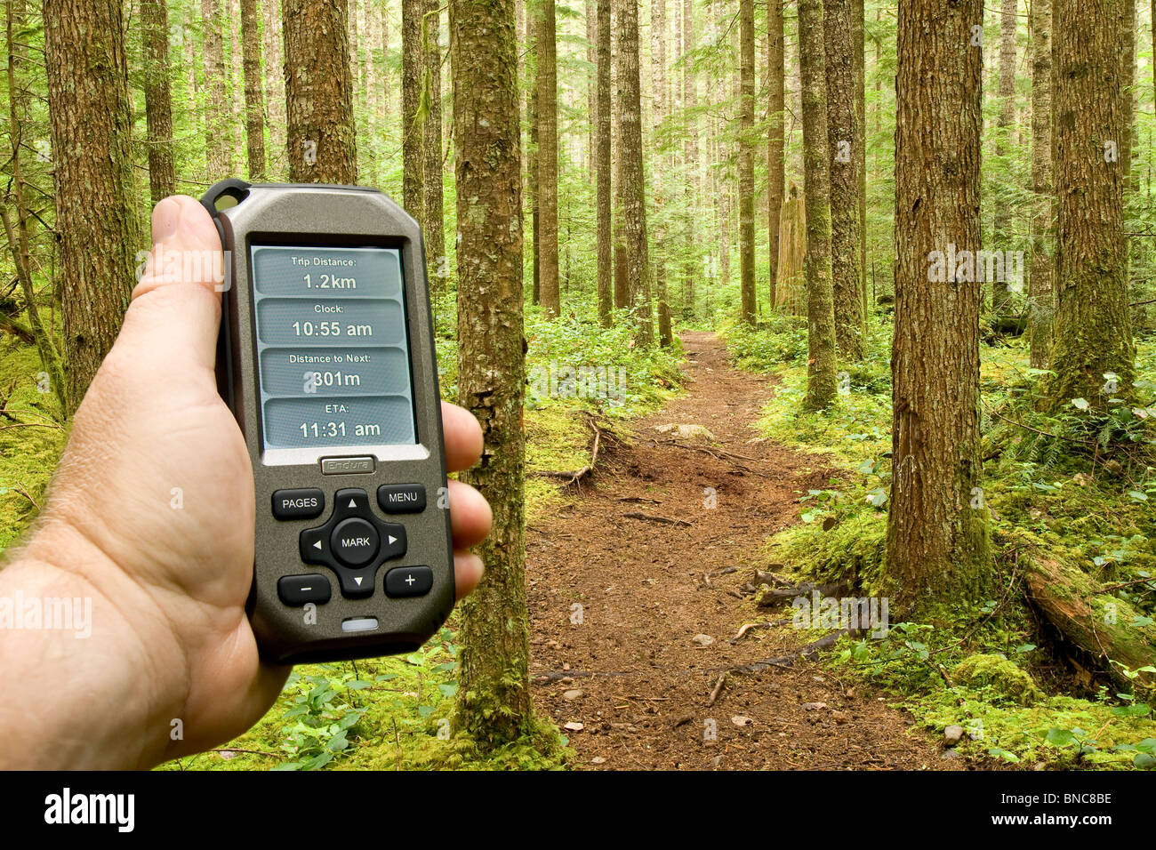 Une main tenant un GPS avec un tracé le long voyage d'un chemin forestier  Photo Stock - Alamy