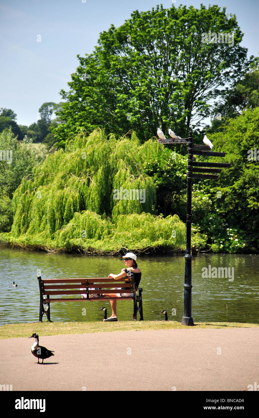 Banc par lac, Verulamium Park, St Albans, Hertfordshire, Angleterre, Royaume-Uni Banque D'Images