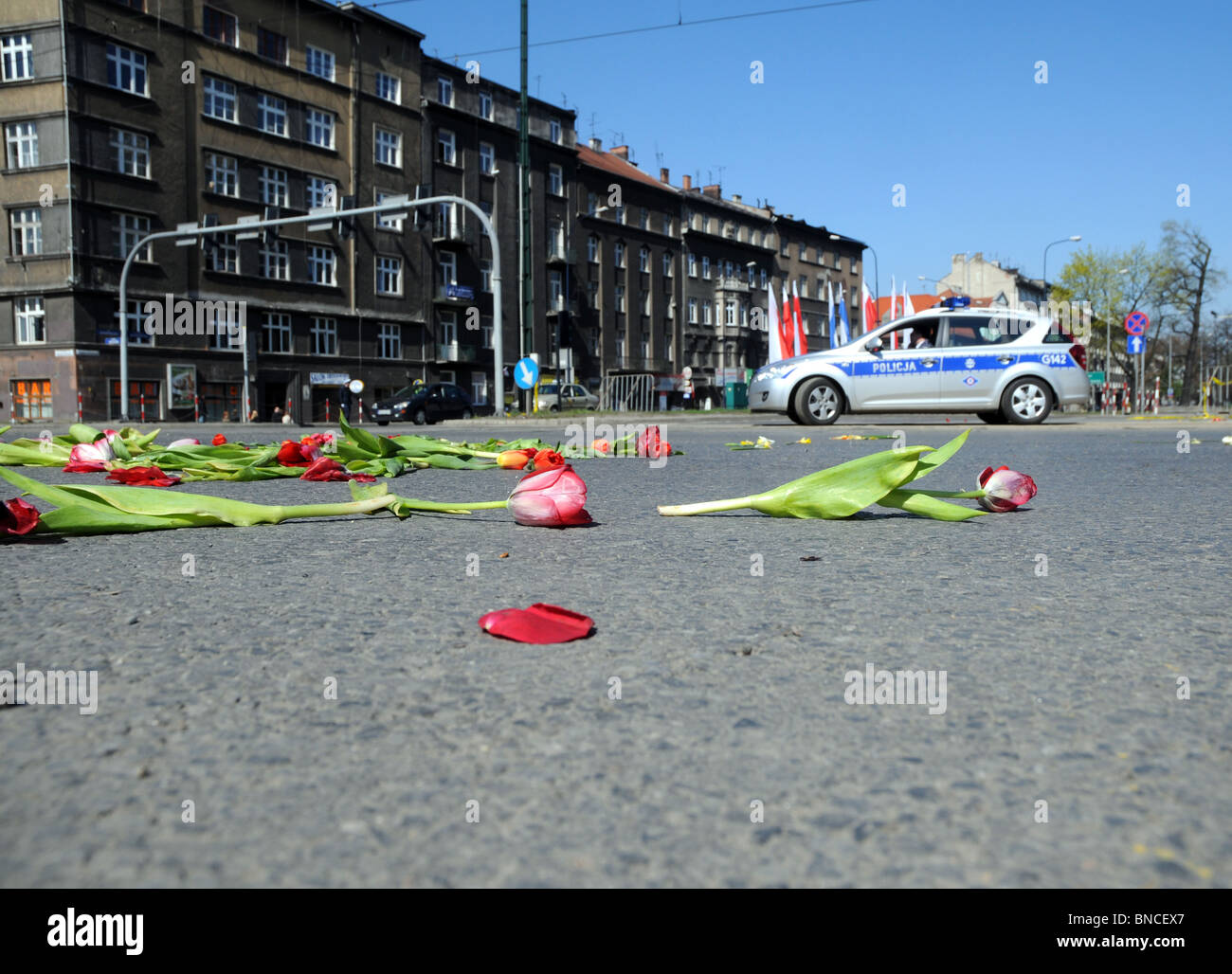 18.04.2010. Cracovie, Pologne : les fleurs après dur de corbillard avec le corps du président Lech Kaczynski au jour de ses funérailles Banque D'Images