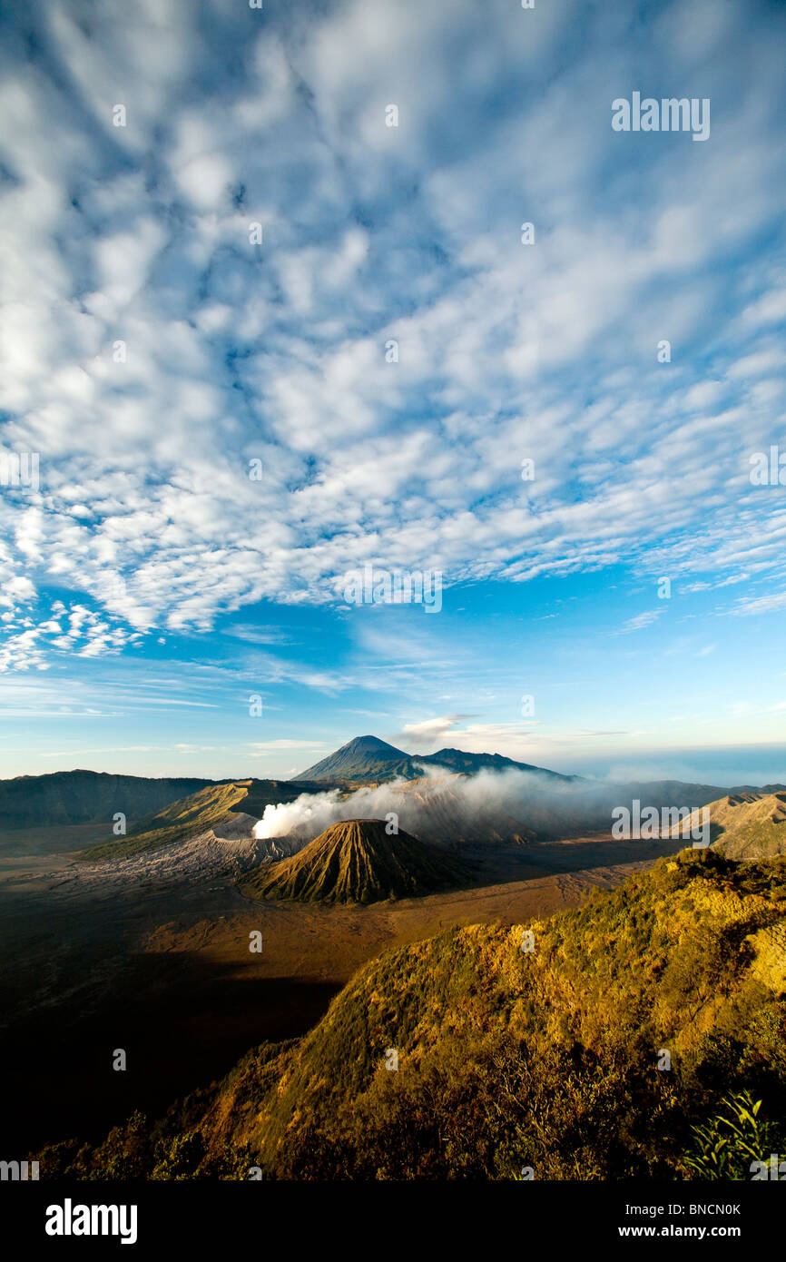 Gunung Bromo ou le Mont Bromo salon Java Indonésie Banque D'Images