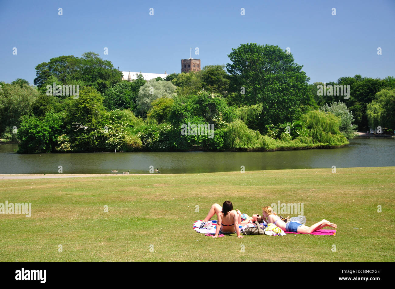 Verulamium Park, St Albans, Hertfordshire, Angleterre, Royaume-Uni Banque D'Images
