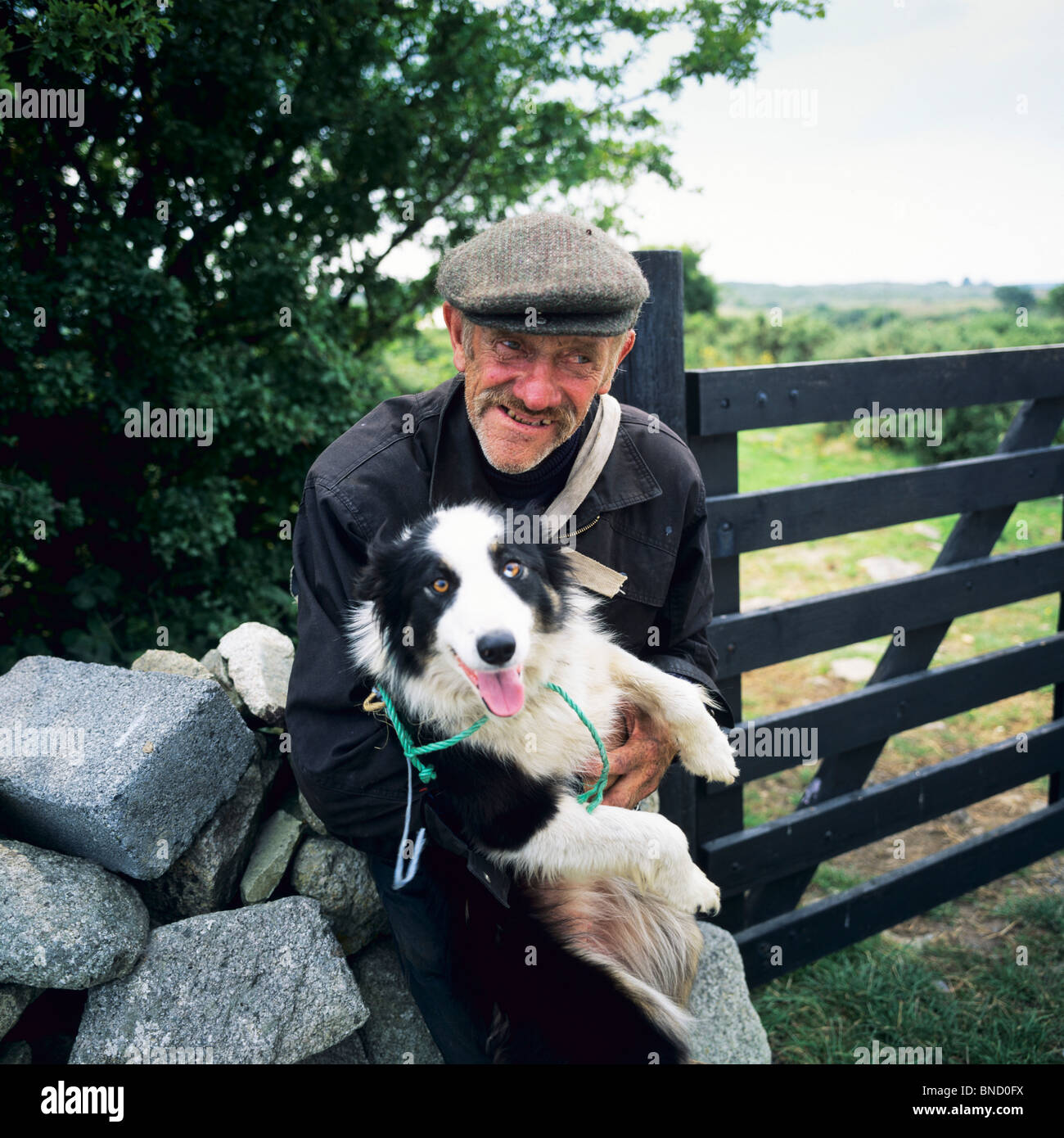 Berger avec son chien BORDER COLLIE CONNEMARA COMTÉ DE GALWAY IRLANDE Photo  Stock - Alamy